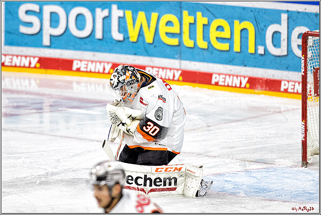 PENNY DEL;  Kölner Haie - Löwen Frankfurt; Köln, 01.12.2022